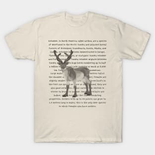 Reindeer Information T-Shirt